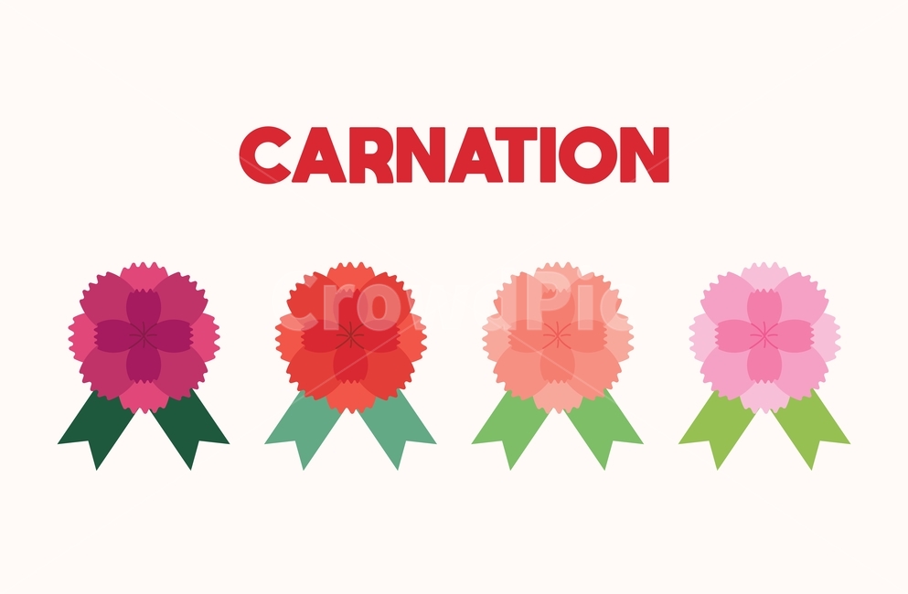 카네이션,꽃,가정의달,어버이날,스승의날,축하,기념일,이벤트,디자인소스,뱃지,장식,데코,일러스트소스,벡터,일러스트,플랫,휴일,가정의달이미지공모전,아이콘,로고,기념일,축하,anniversary,congratulation,celebrate,celebration,그래픽,일러스트레이션,graphic,illustration