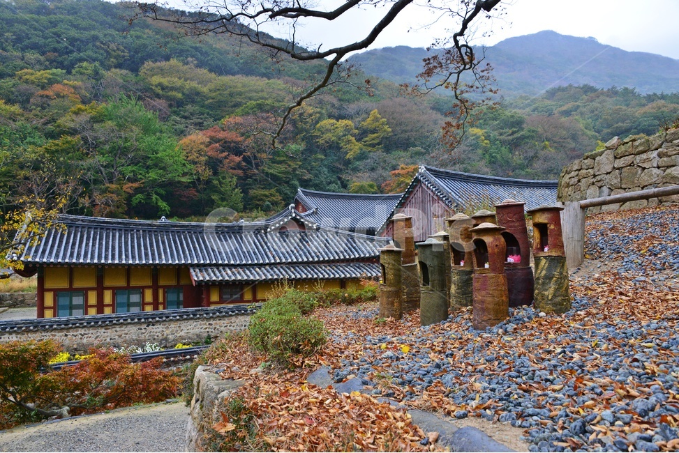 해남,대흥사,두륜산,해남대흥사,사찰,절,불교,유적지,문화재,단풍,가을,대흥사가을,추색,만추,낙옆