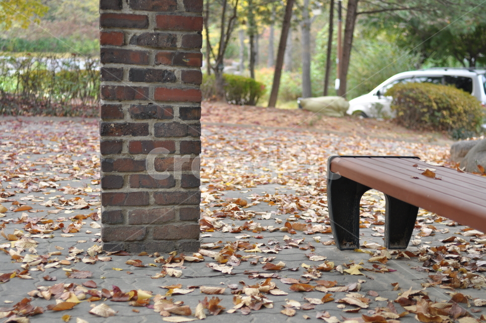 가을,감성,나무,낙엽,단풍,길,가을,계절,fall,autumn,season,furniture,가구