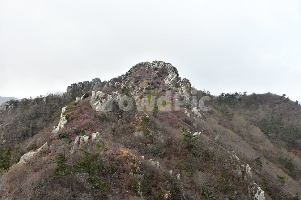 주작산,덕룡산,종주,진달래,풍경,기암,바위,비경,봄풍경,진달래꽃,강진,명산,산행,등산,마운틴,힐링,mountain,landscape,자연,natural,자연,풍경,nature,landscape,한국자연풍경,한국자연경관,korea nature landscape,outdoors,옥외,slope,경사