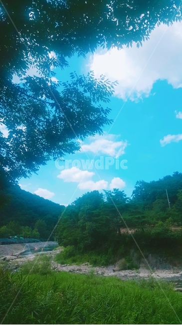 구름,맑은날씨,그린,나무,자연