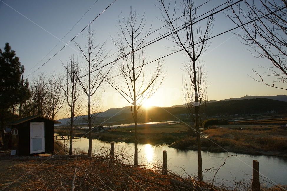 겨울,풍경,시골,빛,강,나무,가지,자연,풍경,nature,landscape,flare,플레어,light