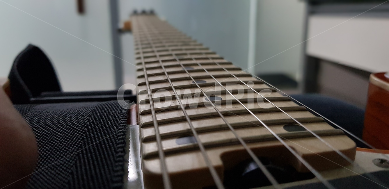 musicalinstrument,악기,guitar,기타,일렉기타,일렉트릭기타,지판,프렛보드,fretboard,electricguitar