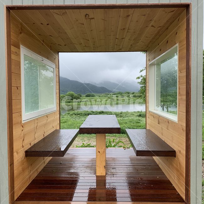 풍경,야생,자연,나무,wood,hardwood,곡성