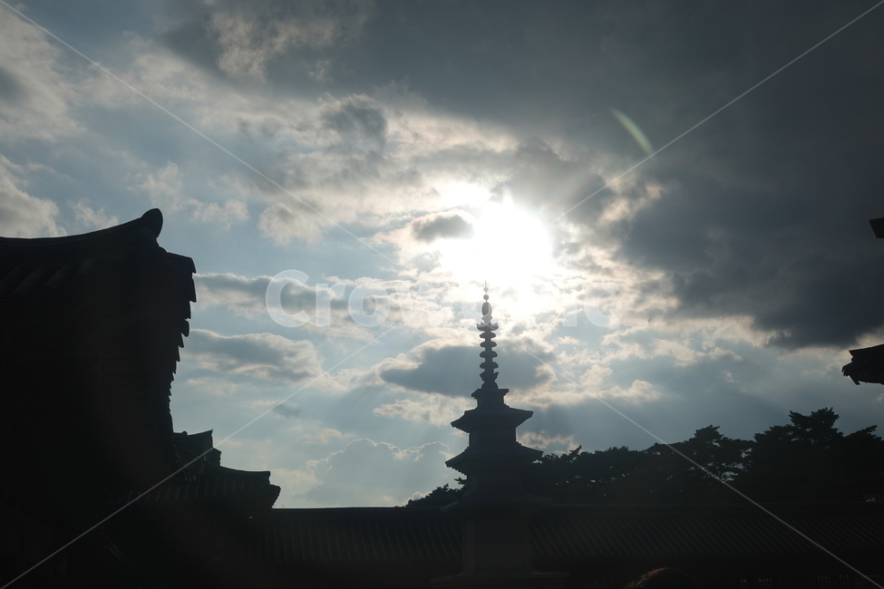 architecture,건축물,building,건물,플레어,flare,빛,light