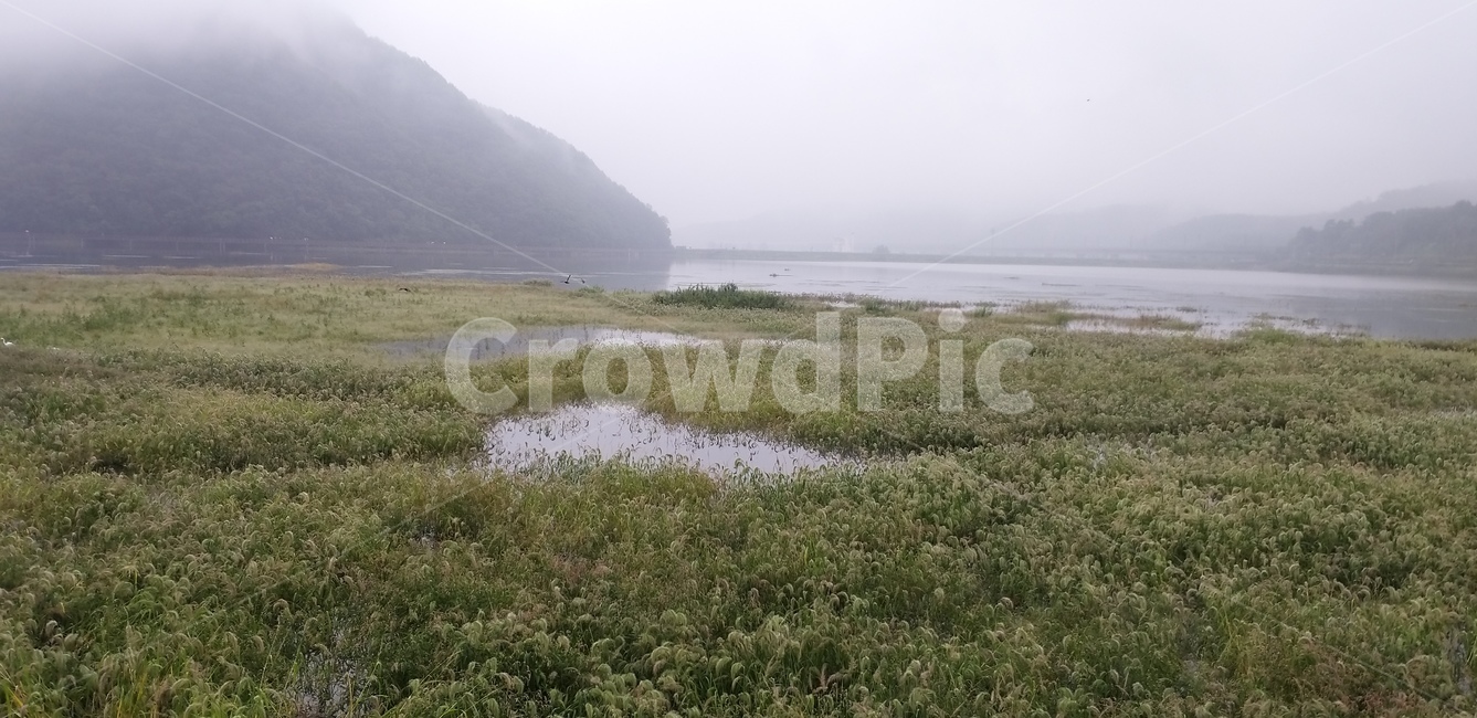 반월저수지,둘레길,자연,water,새,자연,풍경,nature,landscape,land,땅,outdoors,옥외,물