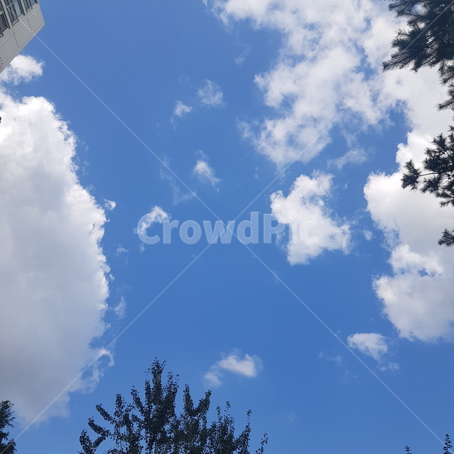 nature,자연,outdoors,옥외,sky,푸른하늘,azuresky,하늘,나무,green,cloud,tree,autumn