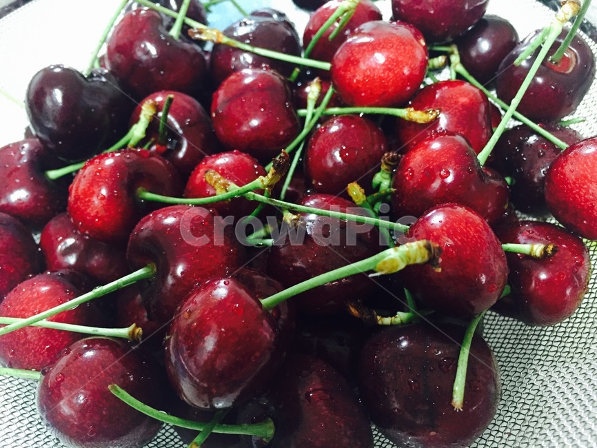 과일,체리,cherry,음식,보라색,자주색,색감,새콤,food,신선한,fresh