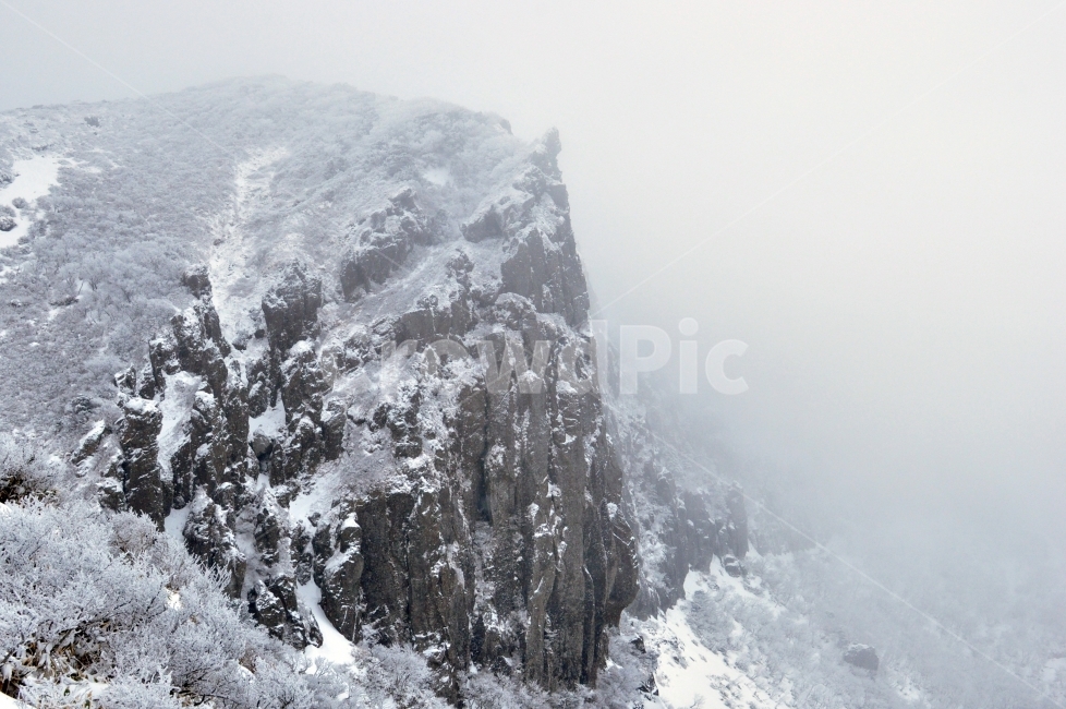 절벽,설경,바위,겨울풍경,하얀,눈,한라산,cliff,rocks,snow,winter,겨울,landscape,snowscene,white,blackwhite,snowscape,snowfield,자연,nature,겨울,계절,winter,season,자연,풍경,nature,landscape,tree,나무,plant,식물,fir,전나무,outdoors,옥외