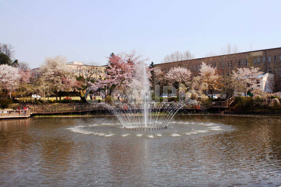 공원,분수,산책,호수,연못,나무,자연,풍경,봄,계절,여름,물결,fountain