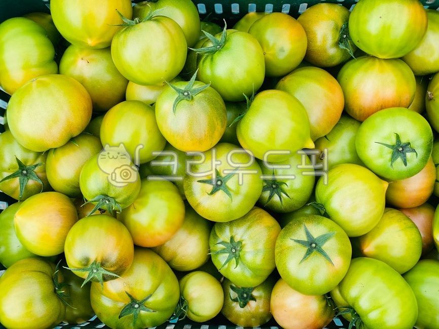 짭짤이토마토,대저토마토,토마토,짤잘이토마토,짤짜리토마토,부산대저,과일,제철과일,4월제철,음식,식재료,요리,food,cook,meal,dishes,food reserves