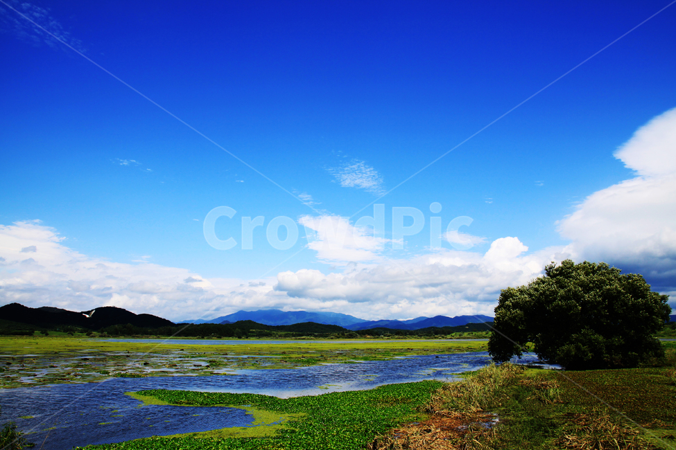 nature,outdoors,자연,늪,우포늪,파란하늘,구름,휴식,풍경