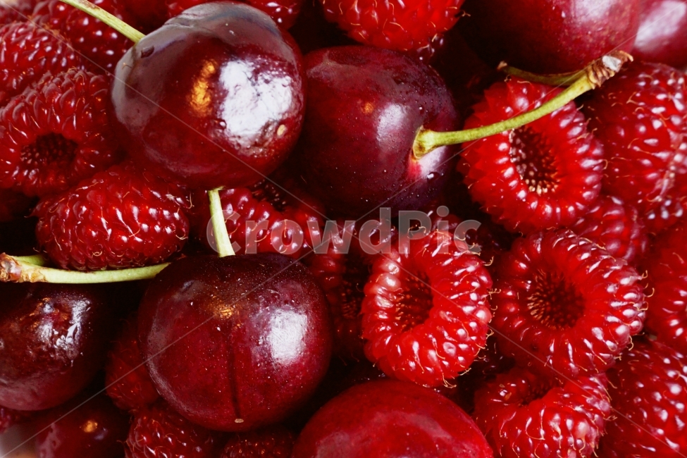 산딸기,체리,과일,열매,라즈베리,berry,베리,빨간,딸기,음식,맛,맛있는,붉은,식품,달콤한,익은,접시,그릇,담겨있다,음식,식재료,요리,food,cook,meal,dishes,food reserves,과일,열매,fruit