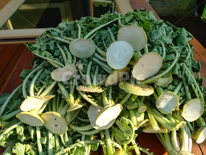 무우,무우청,시래기,잎사귀,잎,채소,야채,vegetables