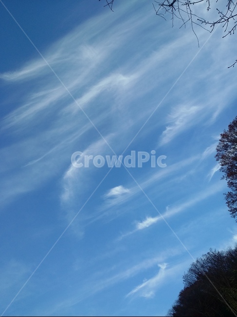 nature,자연,sky,구름,하늘