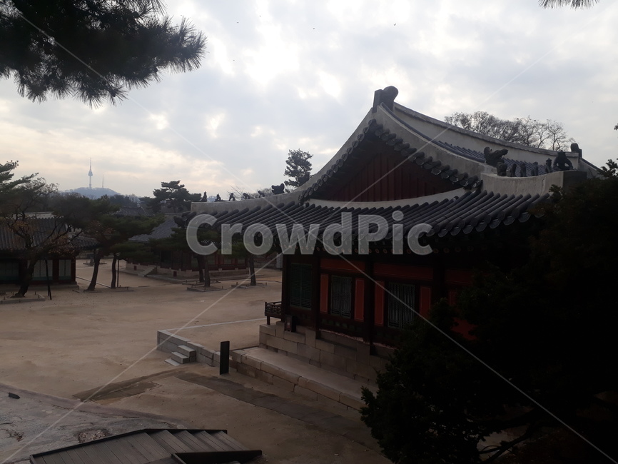 창경궁,창경원,역사공원,역사,전통,문화