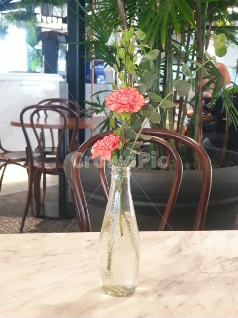 꽃,꽃병,화분,카페,봄