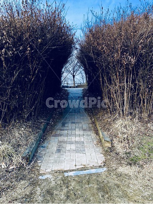 상암동,하늘공원,해질녘,공원,야외,sunset,sky,자연,풍경,nature,landscape,path,통로,handrail,난간,banister,walkway,보도