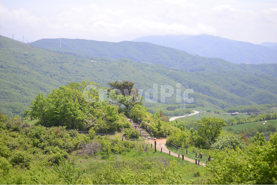 자연,풍경,하늘,구름,목장,초록,하양,nature,landscape,sky,green,korea,길,road,자연,풍경,nature,landscape,outdoors,옥외,hill,언덕