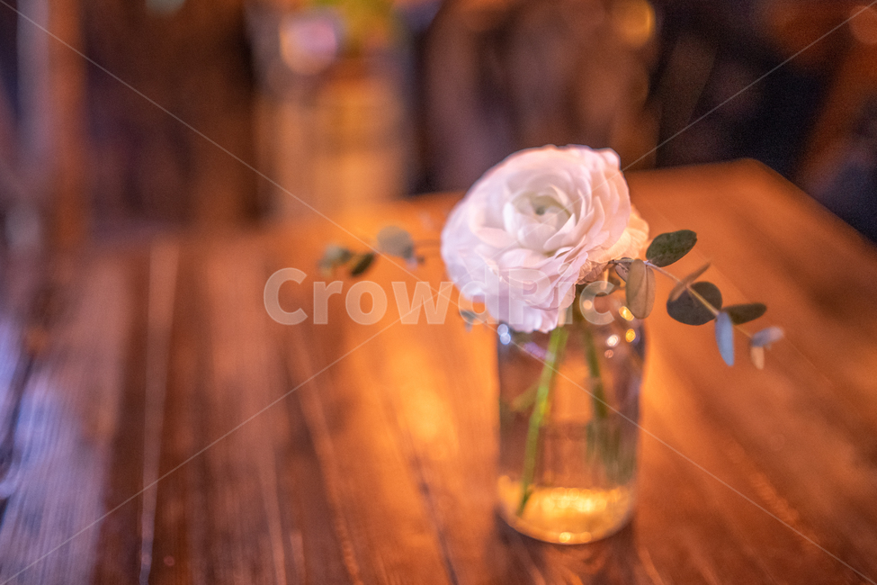 카페,감성,실내,장미,꽃병,식물,테이블,따뜻한,월계수,꽃,flower,실내용화초,화분,화초,house plant