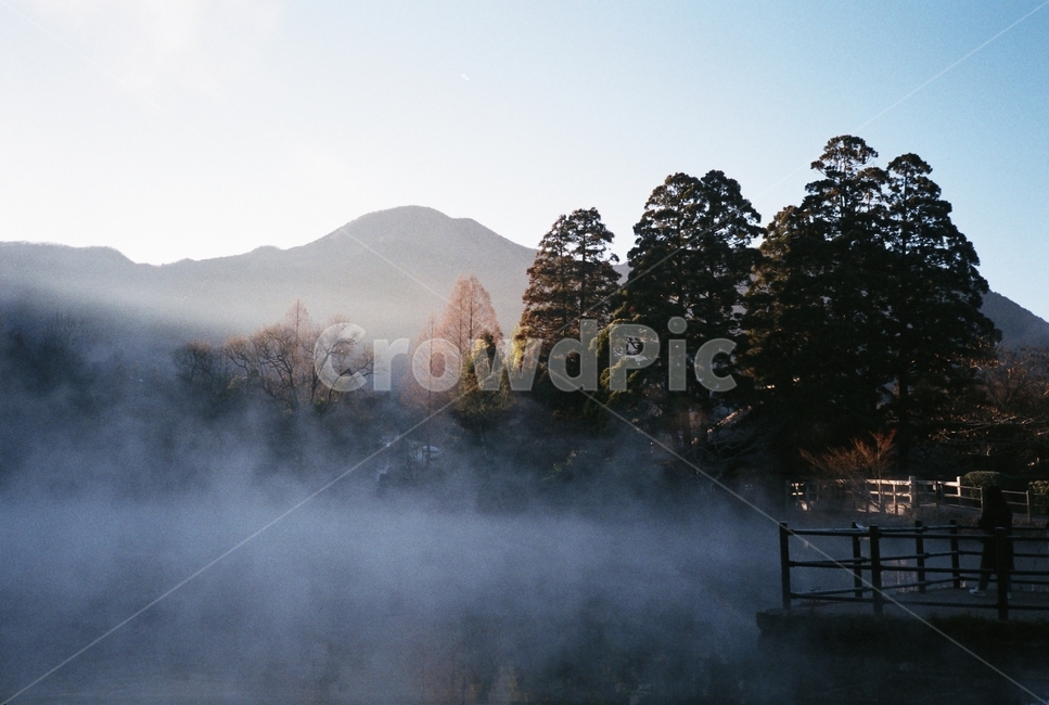 풍경,호수,자연,호숫가,나무,배경,일본호수,lake,여유,자연,풍경,nature,landscape,weather,날씨,outdoors,옥외,fog,안개
