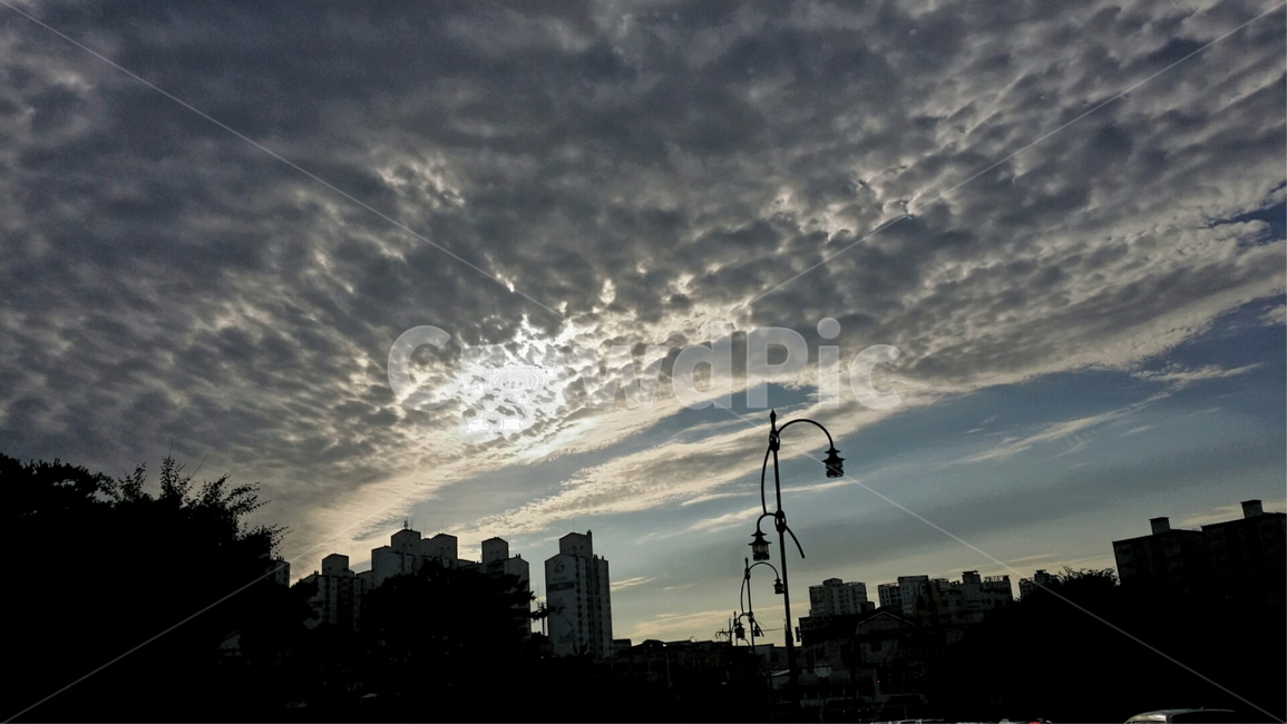 nature,outdoors,실루엣,silhouette,날씨,weather,어둠,가로등,자연,옥외,풍경