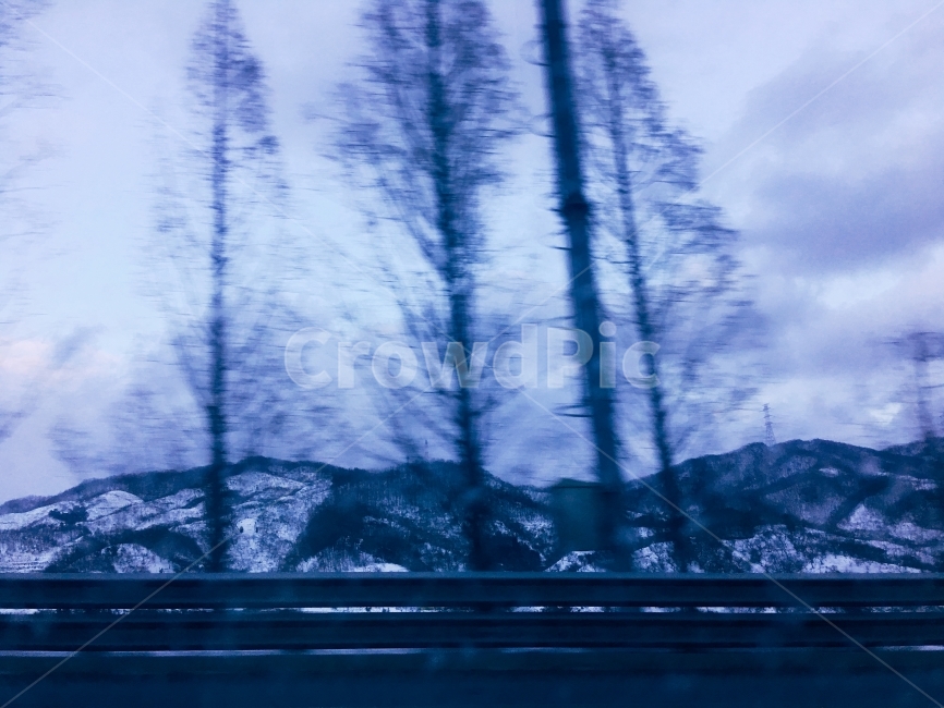 차도,풍경,겨울산,산,나무,나뭇가지,겨울,도로,푸른,파란,겨울,계절,winter,season,자연,풍경,nature,landscape,감성,sensible,feeling,plant,식물,tree
