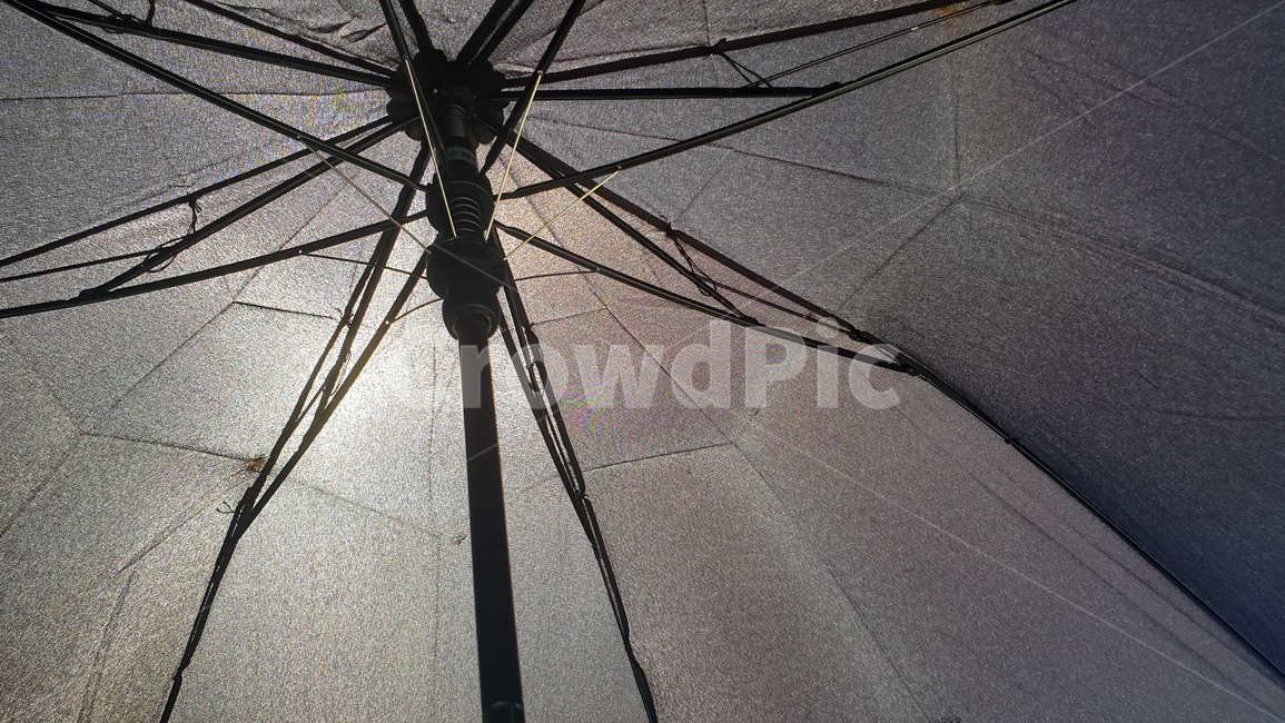 우산,햇빛,검정,회색,umbrella