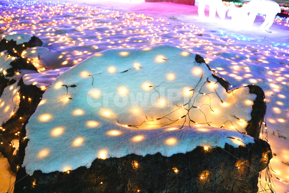 빛,불빛,야경,전구,겨울,눈,빛축제,조명,겨울,계절,winter,season,야경,밤,풍경,nightscape,night,landscape,water,물