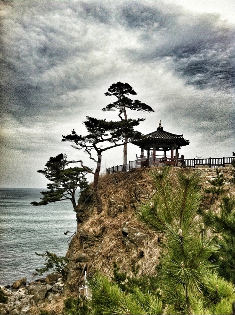 강원도,낙산사,정자,소나무,절벽
