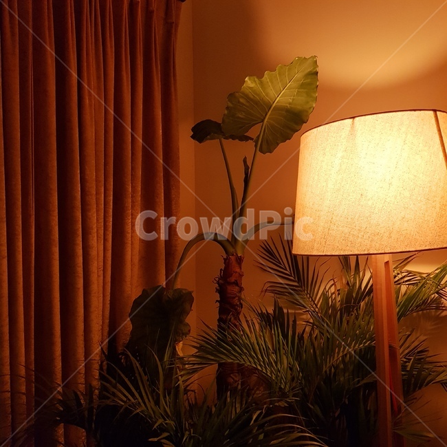 카페,여유,감성,커피,색감,식물,cafe,rest,mood,coffee,color,plants,light,빛,인테리어,실내디자인,interior design