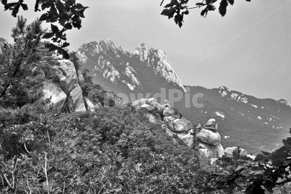 도봉산,산,등산,인수봉,명산,자연,흑백