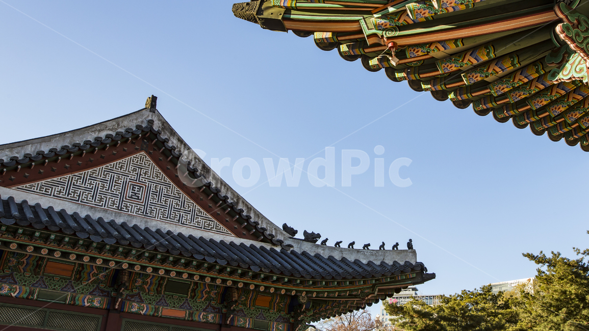 풍경,고궁,역사,조선,서울,한국전통,한국문화,korean traditional,korean culture,건축물,건물외관,exterior,building,structure,architecture,construction