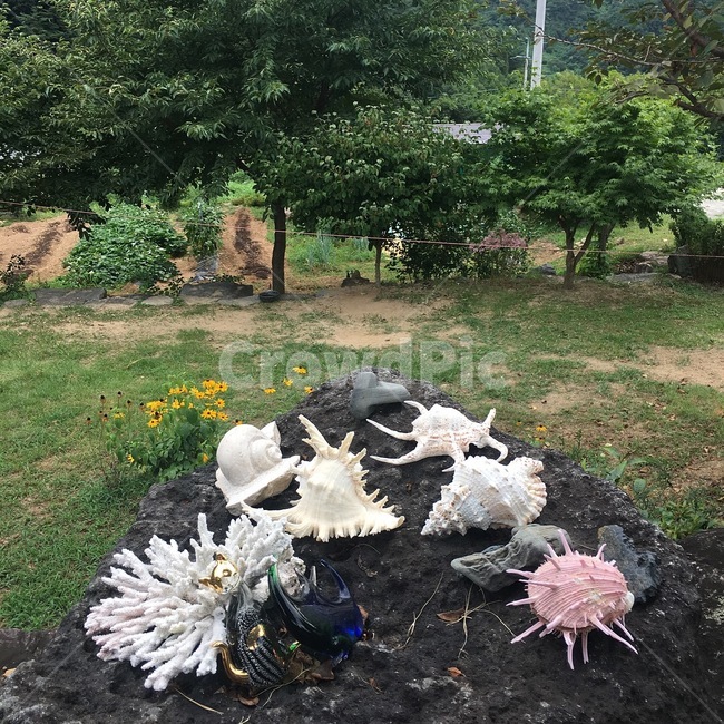 여름,summer,산,조개,감성,소라,분위기,바다,느낌,시골