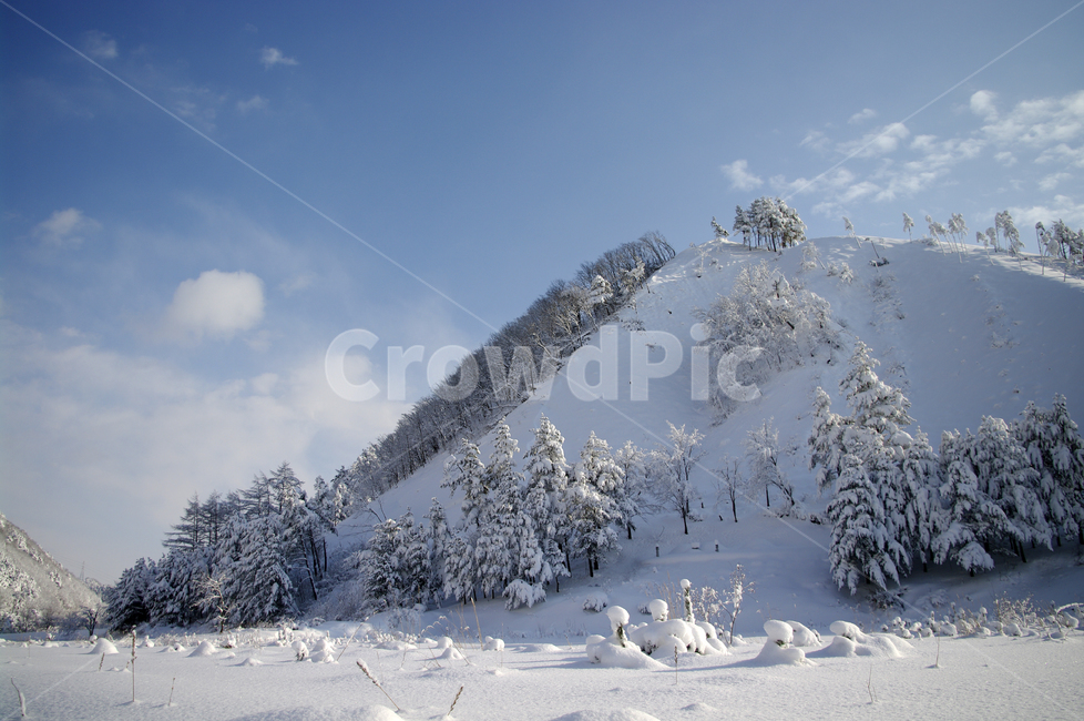겨울,눈,설경,풍경,나무,겨울산,겨울,계절,winter,season