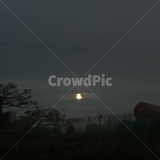 밤하늘,밤,저녁,저녁하늘,달,moon