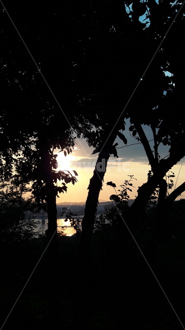 하늘공원,구름,나무,노을,하늘,자연,풍경,nature,landscape,sunlight,햇빛,outdoors,옥외,flare,플레어,light,빛,sky,sunset,일몰,dusk,황혼,dawn,새벽,red sky,붉은 하늘,silhouette,실루엣