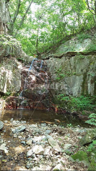 자연,개울,나무,풍경,바위,자연,풍경,nature,landscape,outdoors,옥외,water,물