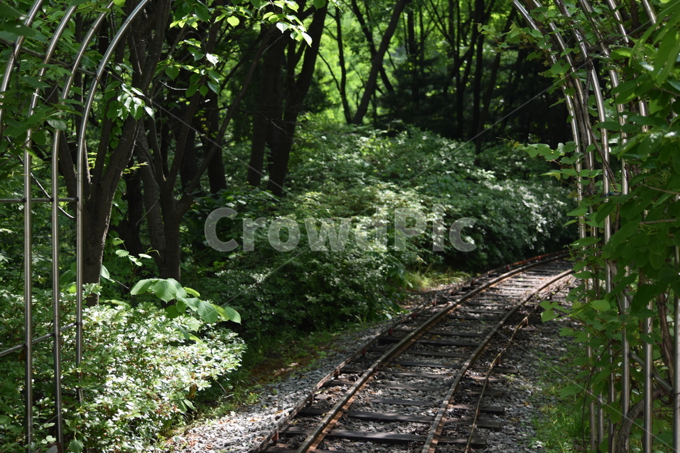산책,길,풍경,숲,철길