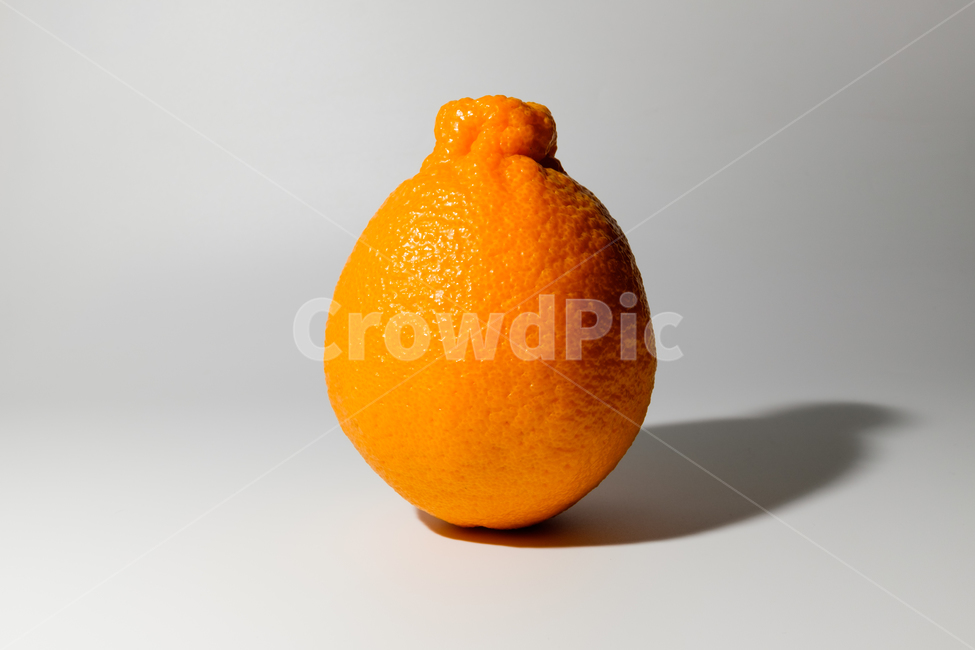 감귤,과일,제주도,오렌지색,새콤한,달콤한,신선한,감귤류,음식,잘익은,즙이많은,채식,날것,식품,맛있는,제주,과일,열매,fruit