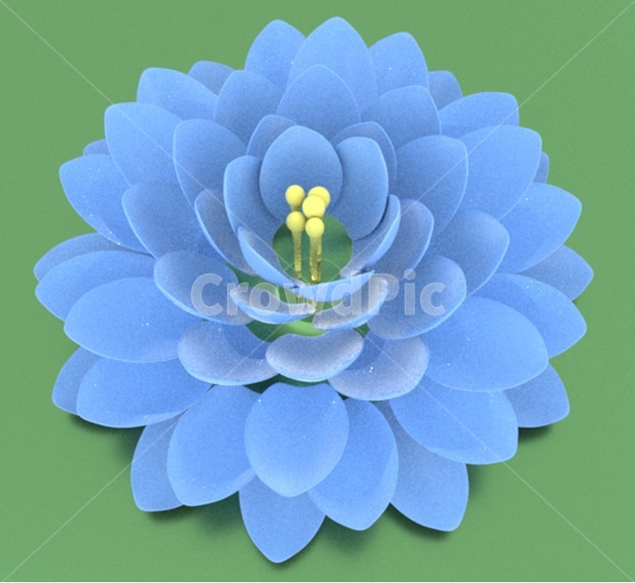 연꽃,파란,lotus,blue,꽃,flower,blossom,식물