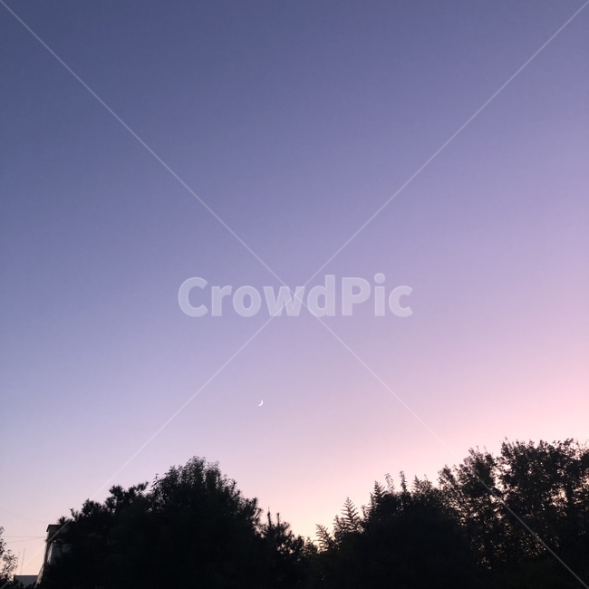 nature,자연,outdoors,달,문,moon,하늘,sky,tree,나무,자연,풍경,nature,landscape