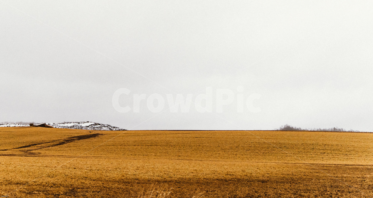 미국,논밭,시카고,황금,노랑색,봄,겨울,자연,풍경,nature,landscape,soil,흙,outdoors,옥외