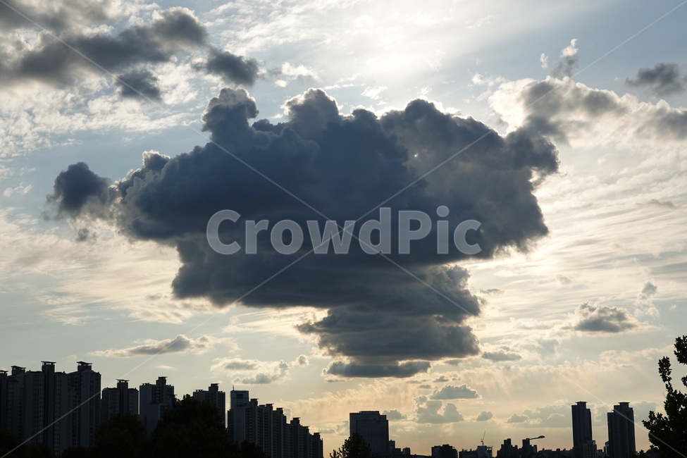 구름,하늘,sky,하늘뷰,skyview,cloud,가을하늘,도시,풍경,city,landscape,weather,날씨,nature,자연,outdoors,옥외,cumulus,적운