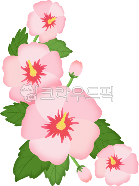 Rose of Sharon,chrysanthemum,March 1st,independence,Republic of Korea,long live Korean independence,our country,country,independence movement,Liberation Day,long live,long live movement,Ahn Jung-geun,Yu Gwan-sun,Taegeukgi,veterans' welf