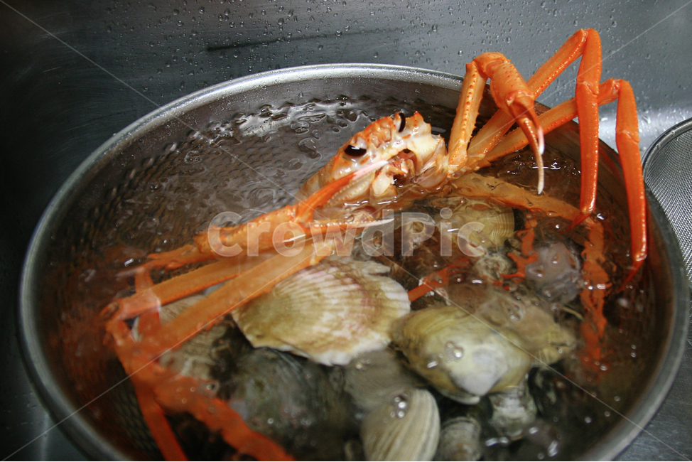 홍게,대게,수산물,해산물,수산시장,조개,동물,animal,수산물,해산물,fishery products,seafood