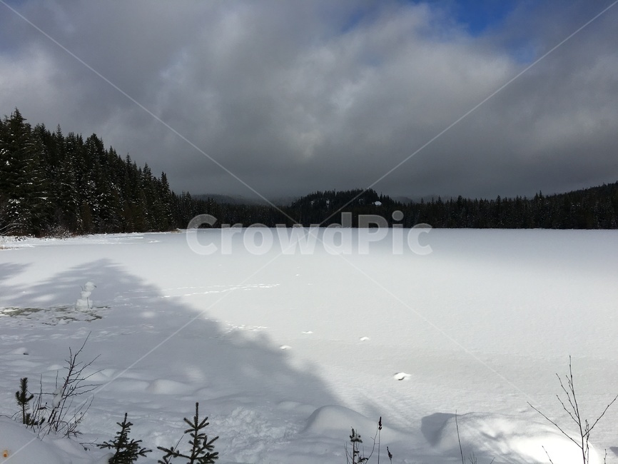 눈,배경,미국,겨울,trilliumlake,겨울,계절,winter,season,자연,풍경,nature,landscape,tree,나무,plant,식물,fir,전나무