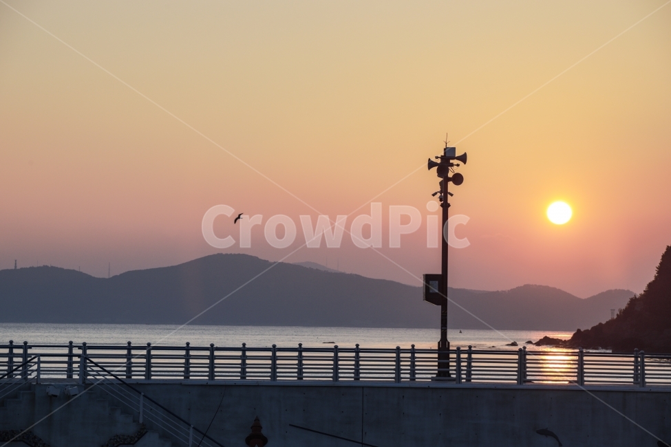 일몰,태양,해,풍경,가로등,자연,풍경,nature,landscape,한국자연풍경,한국자연경관,korea nature landscape,railing,난간,banister,handrail,animal,동물,bird,새