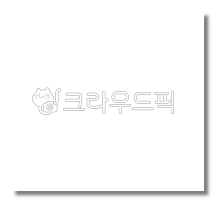 Polaroid,Polaroid photo,Instant photo,Polaroid frame,Polaroid frame,Photo frame,Photo frame,Photo frame,Photo frame,Polaroid background,White Polaroid,Photo decoration,Photo decoration,Photo insertion,Photo printing,Photo printing,Photo pr