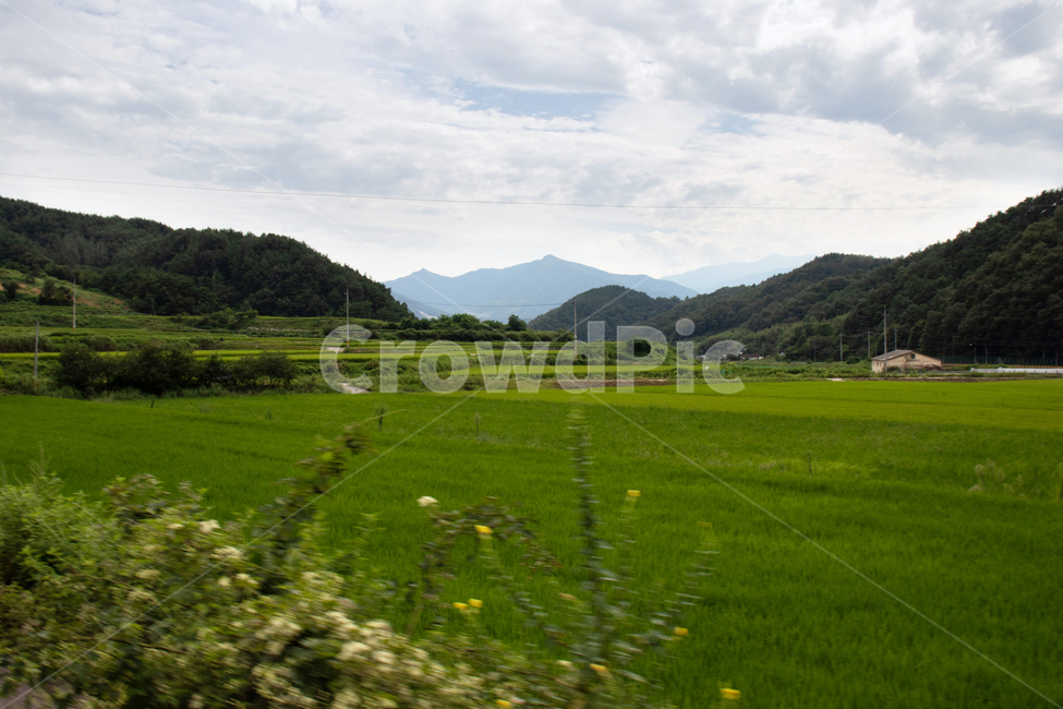 하늘,sky,옥외,nature,자연,land,땅,산,나무,경치,자연경관,자연경치,mountain,mountains,tree,grassland,목초지,field,들,outdoors,paddyfield,패디필드,countryside,시골,시골경관,시골경치,들판,밭,논,자연배경,farm,ricepaddy,scene,natureview,잔디밭,lawn,자연,풍경,nature,landscape,paddy field,패디 필드